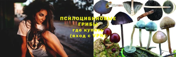 стаф Пестово