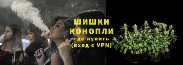 стаф Пестово