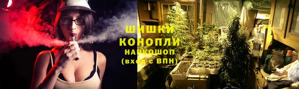 стафф Гусиноозёрск