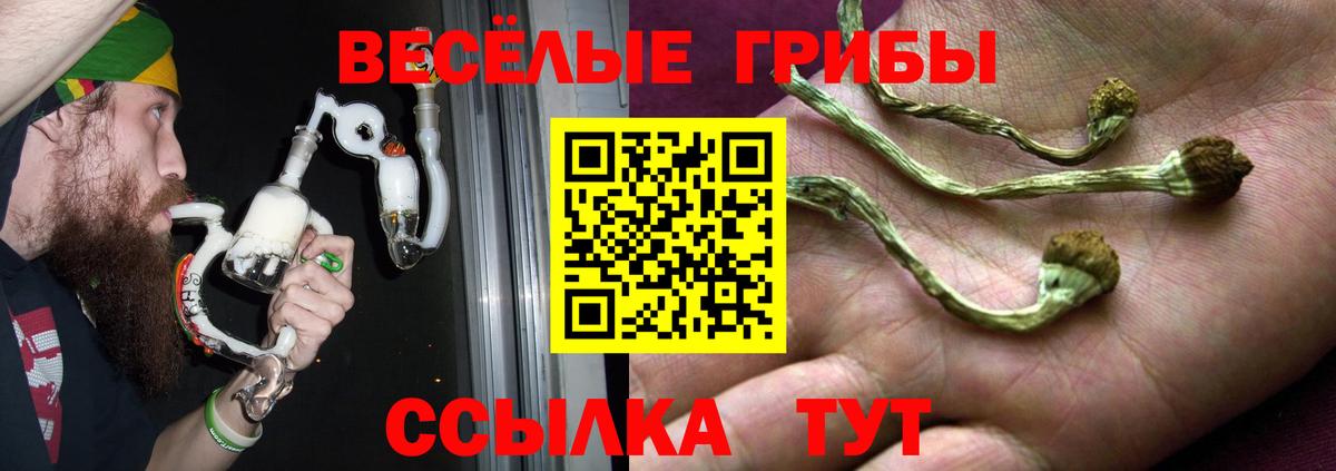 Галлюциногенные грибы GOLDEN TEACHER  Вход с VPN  Псилоцибиновые грибы GOLDEN TEACHER  Луга 
