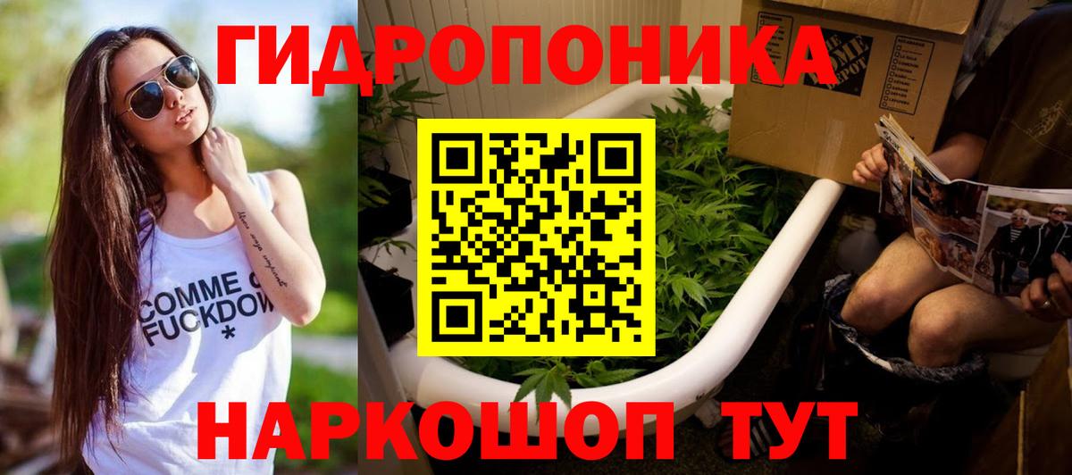 Конопля план  Вход с VPN  Луга  Конопля MAZAR 